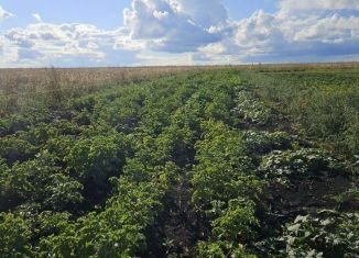 Продается участок, 10 сот., село Куликовка
