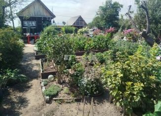 Продаю дом, 12 м2, Алтайский край, СНТ Мечта, 512
