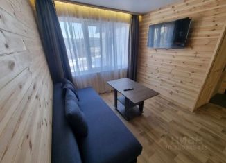 Сдается в аренду дом, 50 м2, Белорецк, СНТ Ветеран-2, 111