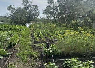 Продается дом, 84 м2, Тамбовская область, Школьная улица, 22