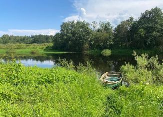 Земельный участок на продажу, 42 сот., деревня Зимари (городское поселение Пушкиногорье)