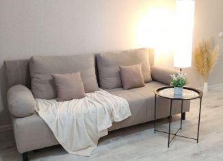 Сдается в аренду квартира студия, 20.2 м2, Воронеж, улица Богдана Хмельницкого, 53А