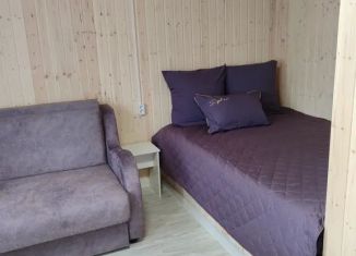 Сдается в аренду комната, 24 м2, посёлок Кирьявалахти