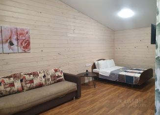 Сдается в аренду комната, 20 м2, Чебаркуль, улица Куйбышева, 109