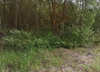 Продажа земельного участка, 15 сот., село Нижнее Хорошово