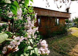 Продаю дачу, 60 м2, Ленинградская область
