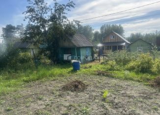 Продажа дачи, 25 м2, Новосибирская область, СНТ Любитель, 60
