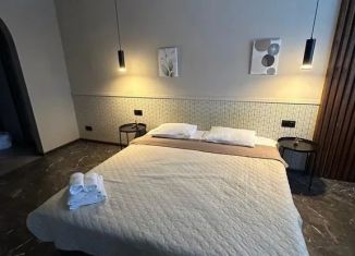Сдача в аренду 1-ком. квартиры, 28 м2, Барнаул, улица Чехова, 20, Центральный район