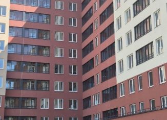 Продаю 1-комнатную квартиру, 31.31 м2, Мурино