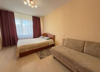 Продаю 1-ком. квартиру, 42 м2, Псков, улица Крестки, 7