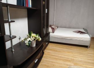 Сдача в аренду 2-комнатной квартиры, 65 м2, Самара, улица Осипенко, 18, метро Российская