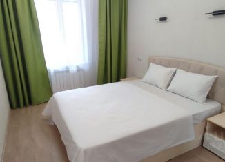 Аренда 2-комнатной квартиры, 55 м2, Самара, Солнечная улица, 42