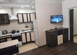 Квартира в аренду студия, 28 м2, Чебаркуль, улица Заря, 29Б