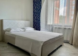 Сдаю в аренду 1-комнатную квартиру, 25 м2, Томская область, улица Савиных, 4А