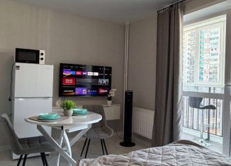 Сдача в аренду квартиры студии, 27 м2, Курганская область, 4-й микрорайон, 33