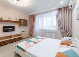 Сдается в аренду 1-ком. квартира, 52 м2, Самара, улица Санфировой, 99