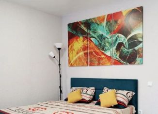 Сдам в аренду однокомнатную квартиру, 33 м2, Череповец, улица Данилова, 1
