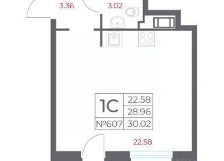 Продам квартиру студию, 30.02 м2, Санкт-Петербург
