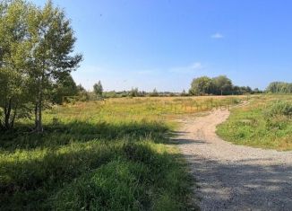 Участок на продажу, 500 сот., Новосибирская область