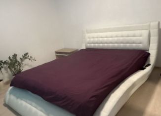 Сдается 1-ком. квартира, 50 м2, Ленинградская область, улица Шекспира, 1к2