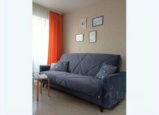 Сдается в аренду 1-ком. квартира, 30 м2, Пермский край, улица Крисанова, 18Б