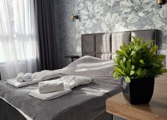 Квартира в аренду студия, 26 м2, Майкоп, улица К.А. Васильева, 2к2