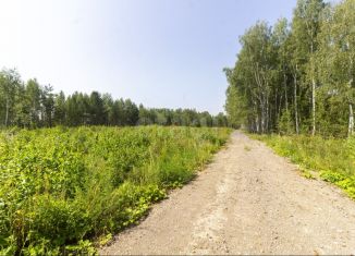 Продаю земельный участок, 15 сот., село Перевалово, улица 8 Марта