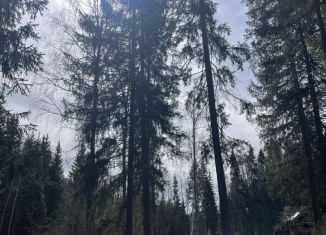 Продаю земельный участок, 17 сот., Владимирская область