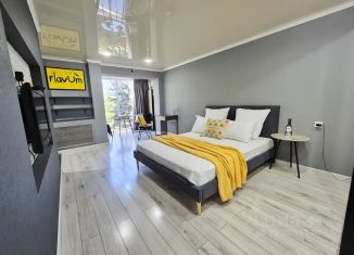 Сдается 1-ком. квартира, 31 м2, Нальчик, проспект Ленина, 75