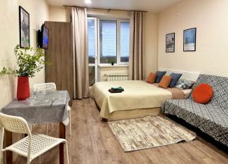 Аренда квартиры студии, 28 м2, Самара, проспект Карла Маркса, 4А, ЖК Желябово.РФ