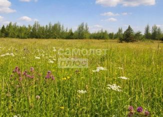 Продается земельный участок, 2000 сот., деревня Татаренкова