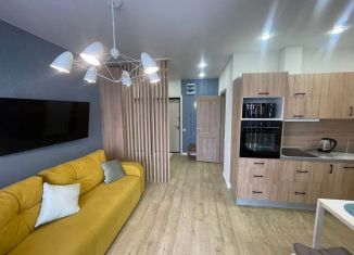 Сдается в аренду 1-комнатная квартира, 35 м2, Иркутская область, проезд Атласова, 5