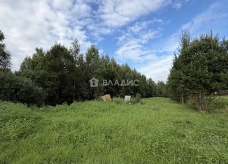 Продаю земельный участок, 10 сот., деревня Малые Козлы, деревня Малые Козлы, 13