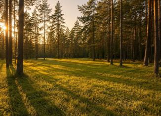 Участок на продажу, 30 сот., Тульская область