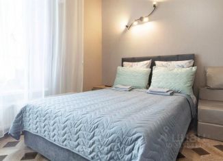 Сдаю 1-ком. квартиру, 28 м2, Алтайский край, проспект Строителей, 18к1