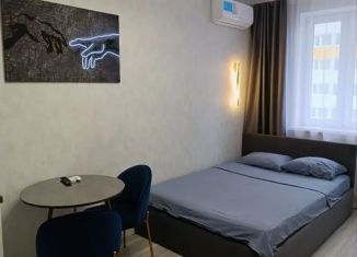 Сдается в аренду квартира студия, 22 м2, Самарская область, 4-й проезд, 67