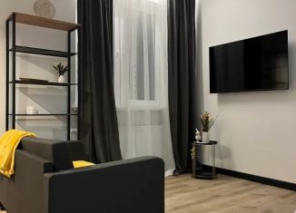 Сдаю в аренду квартиру студию, 33 м2, Самара, 4-й проезд, 67, метро Московская