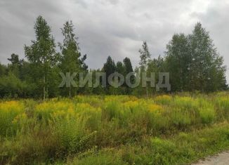 Продается земельный участок, 12 сот., Новосибирская область