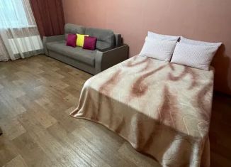 Сдается в аренду однокомнатная квартира, 43 м2, Воронеж, улица Димитрова, 27