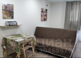 Однокомнатная квартира в аренду, 29 м2, Самара, проспект Карла Маркса, 4А, метро Московская