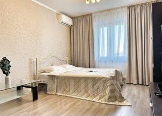 1-комнатная квартира в аренду, 42 м2, Челябинск, улица Руставели, 3Б