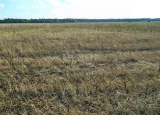 Продаю участок, 25 сот., Алтайский край, Школьная улица