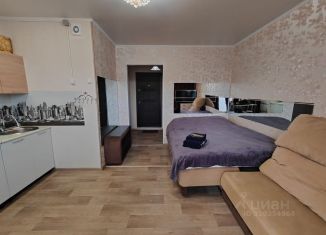 Сдается в аренду квартира студия, 23 м2, Миасс, улица Богдана Хмельницкого, 50