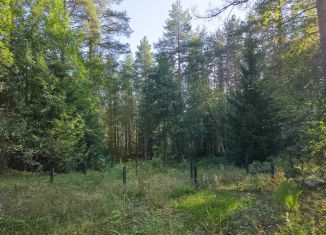 Продам участок, 9.8 сот., Ленинградская область, ДПК Борки, 456