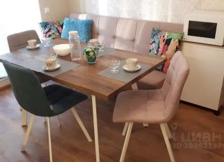 Сдаю в аренду 1-ком. квартиру, 43 м2, Ленинградская область, улица Иоанна Кронштадтского, 9