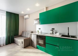 Квартира в аренду студия, 29 м2, Самара, проспект Масленникова, 14А
