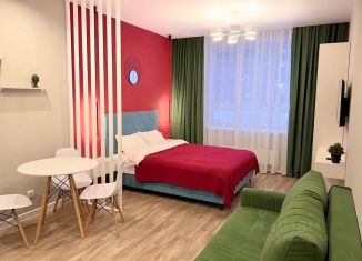 Сдача в аренду квартиры студии, 29 м2, Пермь, улица Малкова, 12, Дзержинский район