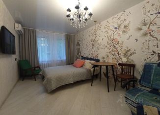 Сдается в аренду однокомнатная квартира, 30 м2, Самара, улица Челюскинцев, 12, Октябрьский район