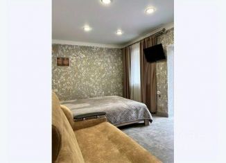 Сдается в аренду дом, 250 м2, Кабардино-Балкария, Нарзанная улица, 3