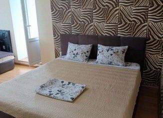 Сдача в аренду 1-ком. квартиры, 52 м2, Самара, Балаковская улица, 6А, метро Гагаринская